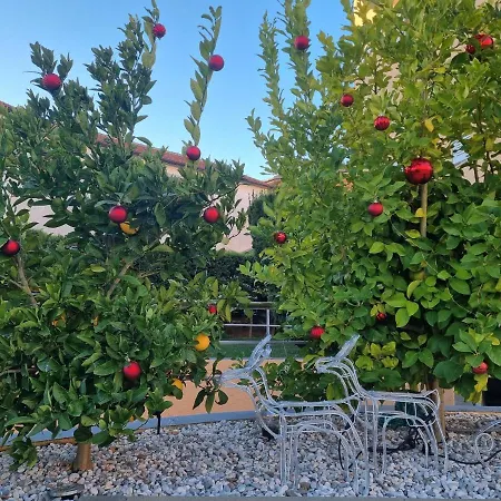 - Orijeta Apartman