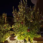 Apartman - Orijeta Medulin